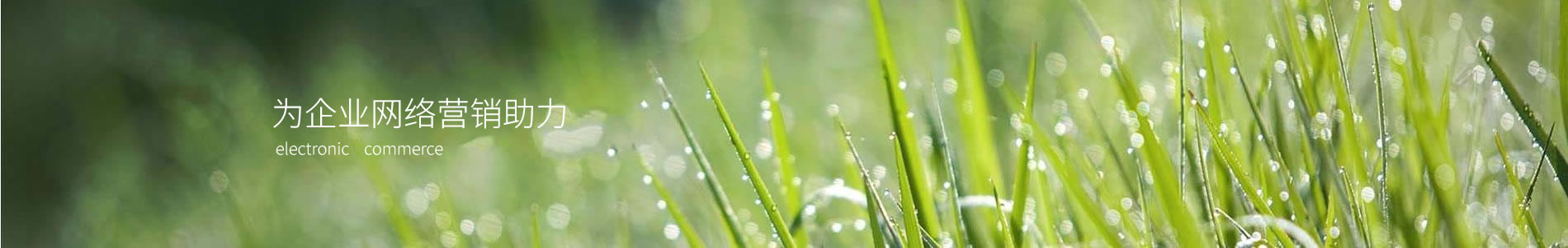 ϺҲʢó޹˾